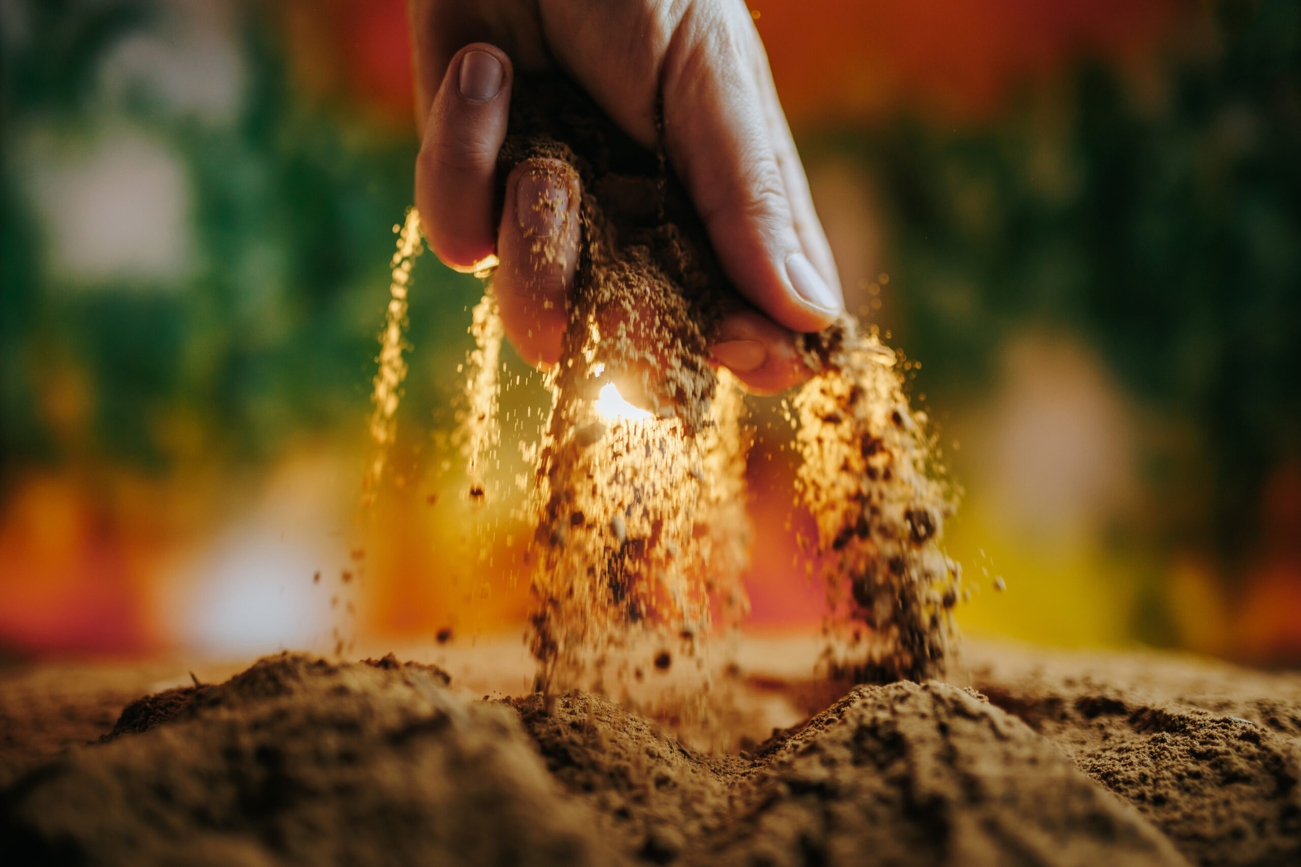 A gorgeous shot of a farmer's hands holding rich, brown soil with selective focus on the palms